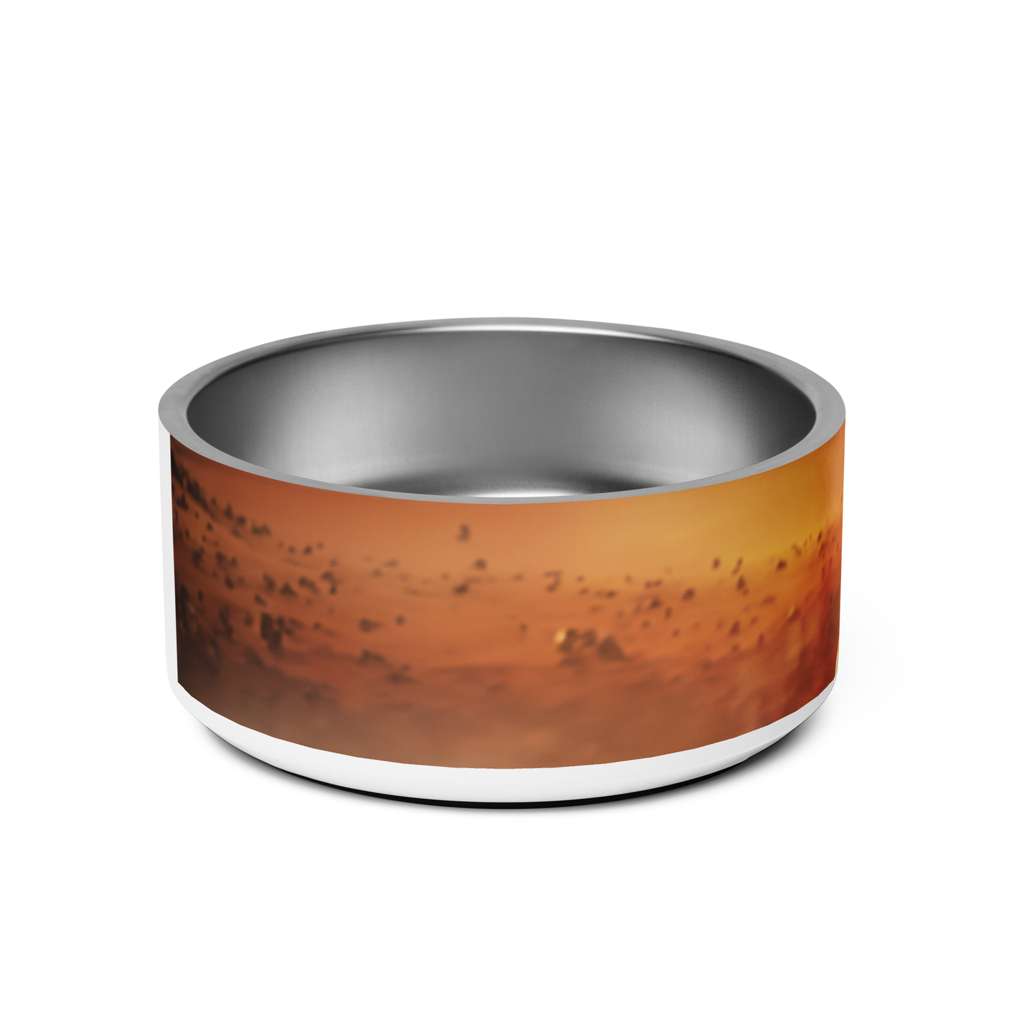 Red Planet - Pet Bowl