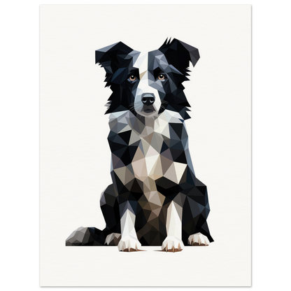 Crystal Border Collie - Matte Archival Poster