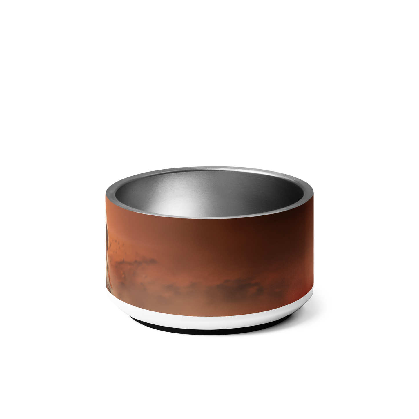 Red Planet - Pet Bowl