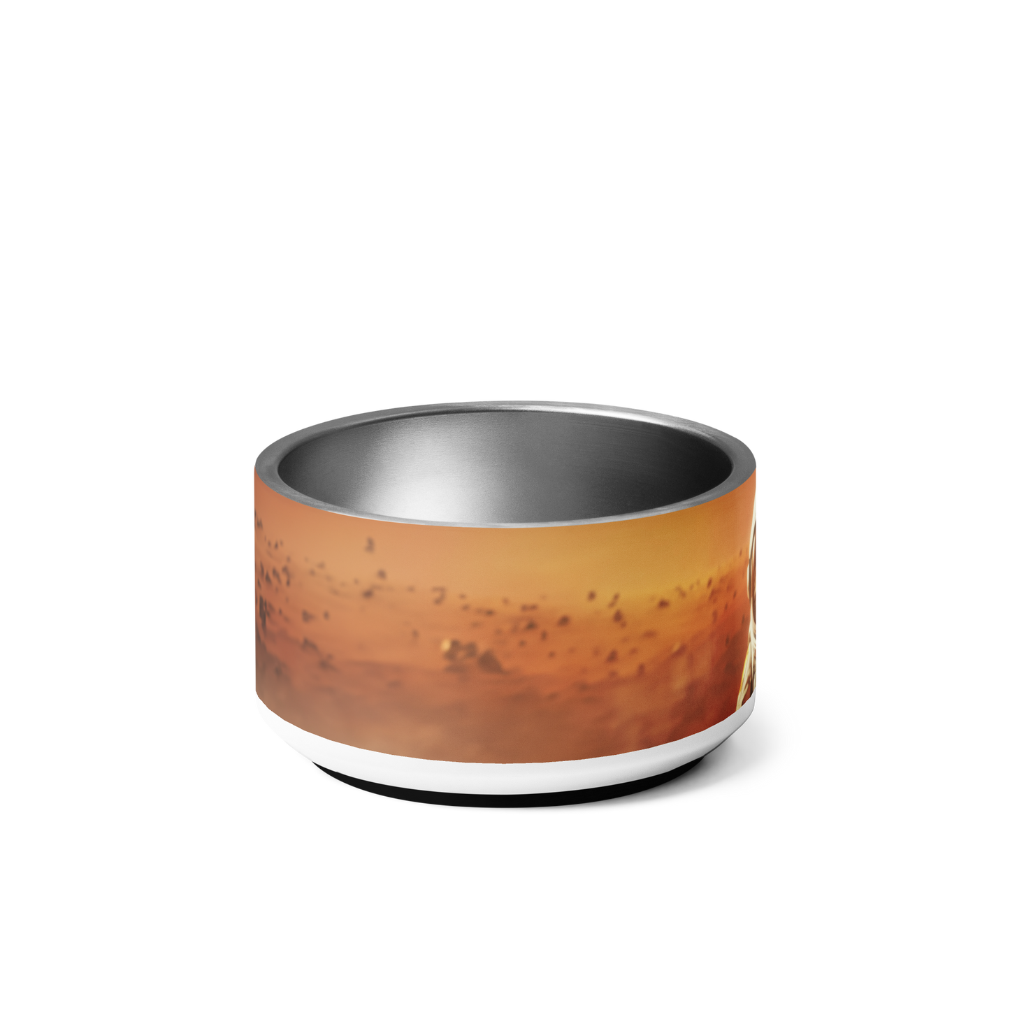 Red Planet - Pet Bowl